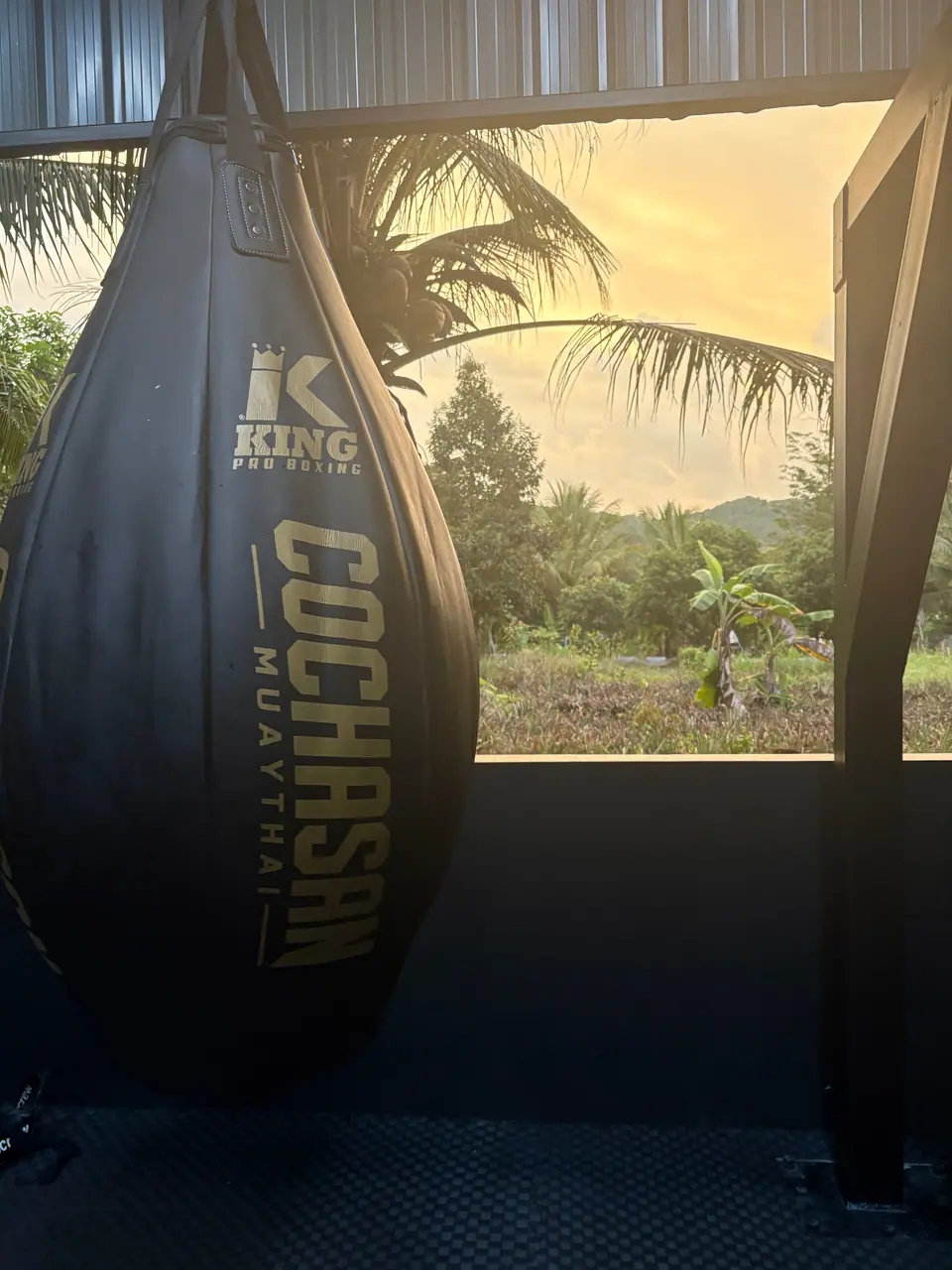 A heavy bag against a sunset and palm trees